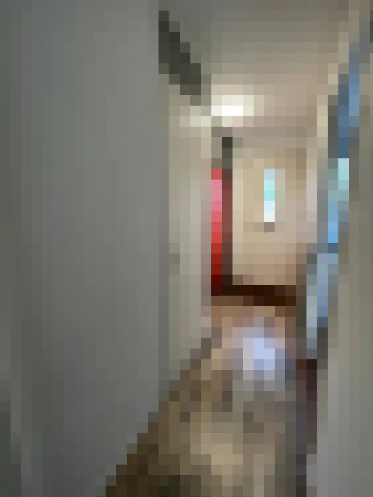 Hermine Moquettestraat 20 Rotterdam thumbnail 9