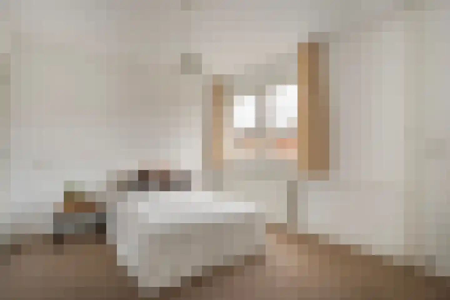 Herminkstuk 12 Geesteren thumbnail 18