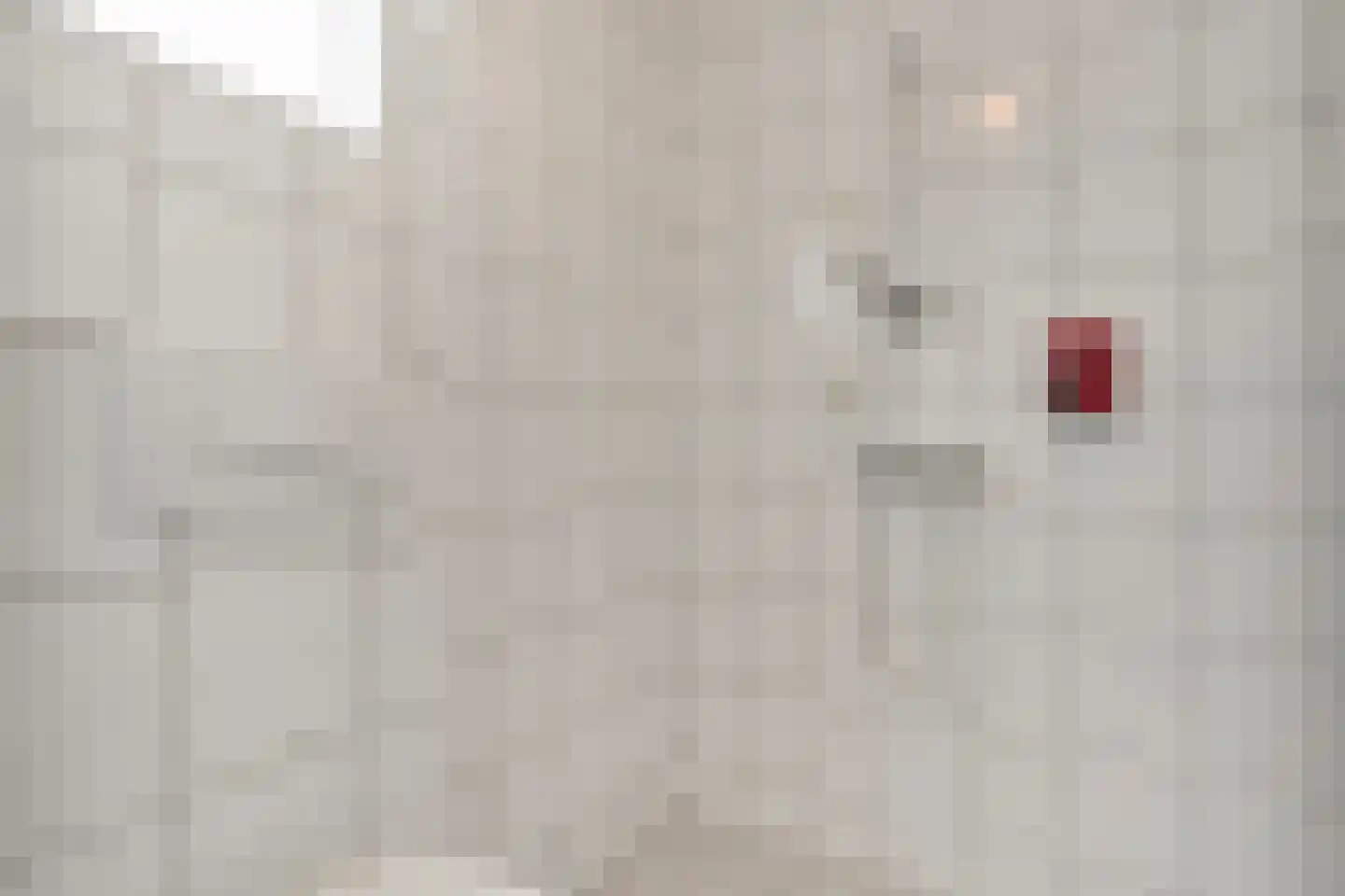 Herminkstuk 12 Geesteren thumbnail 20