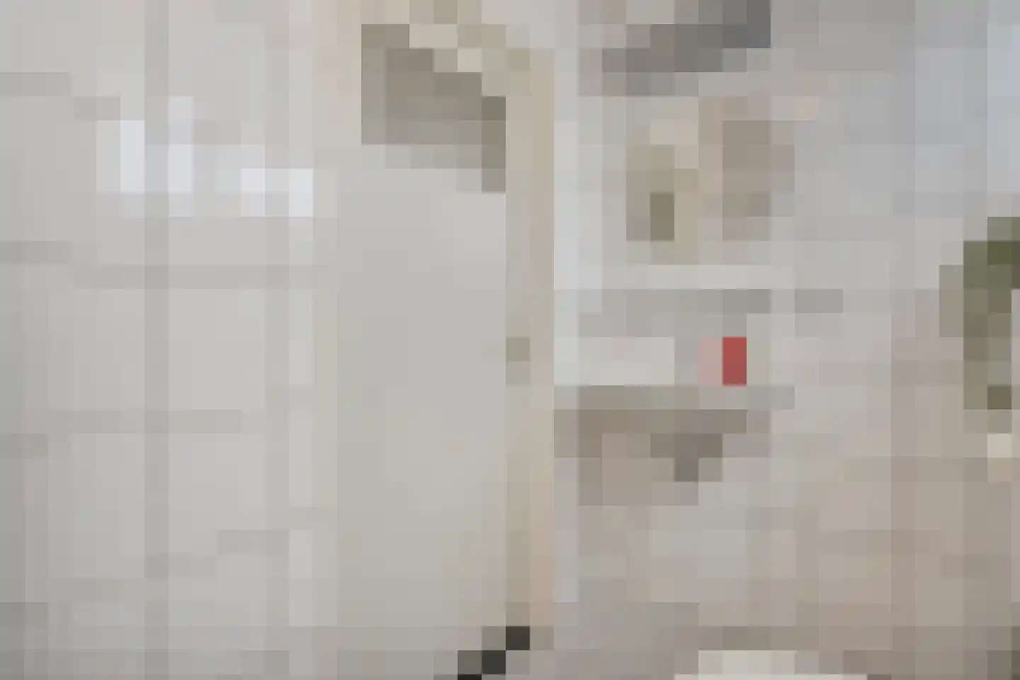 Herminkstuk 12 Geesteren thumbnail 21