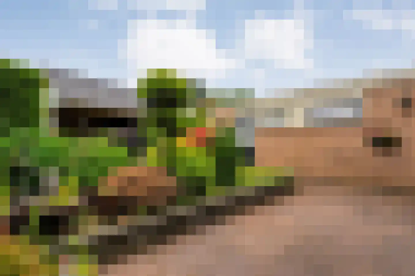 Herminkstuk 27 Geesteren thumbnail 16