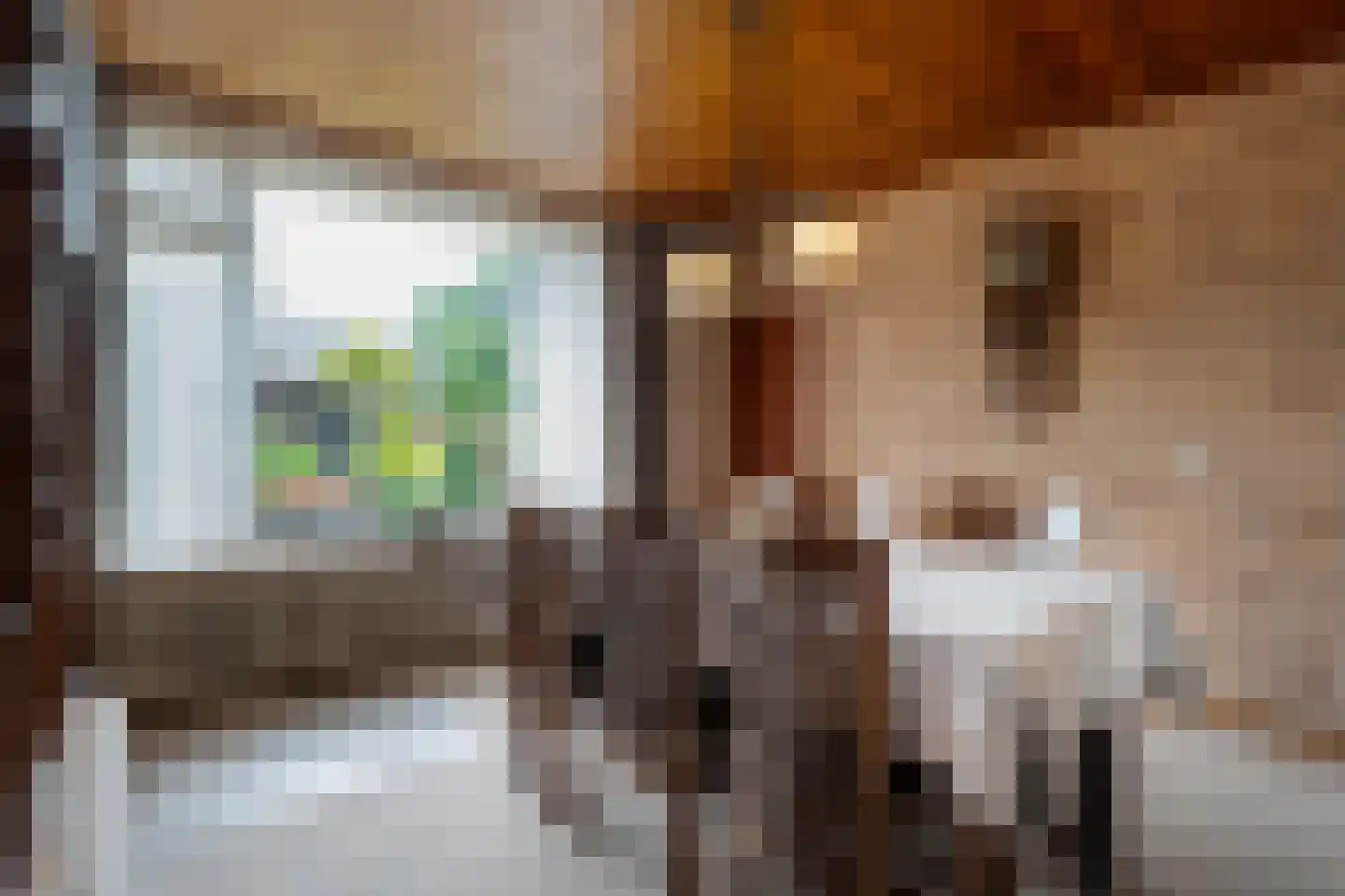 Herminkstuk 27 Geesteren thumbnail 7