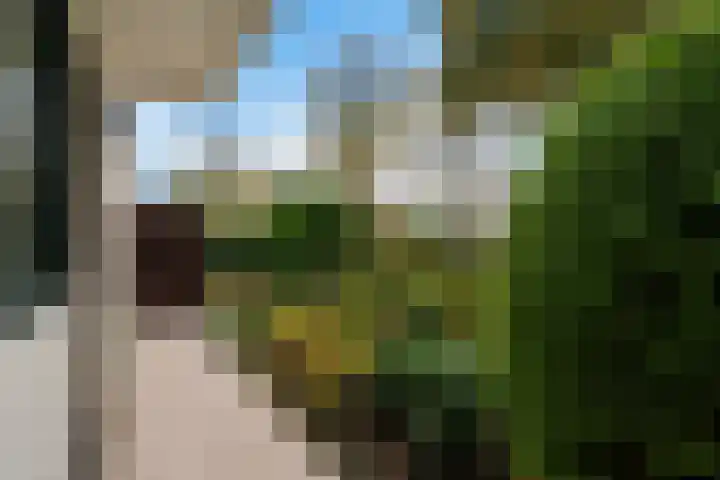 Hermionegang 1 Zoetermeer thumbnail 14