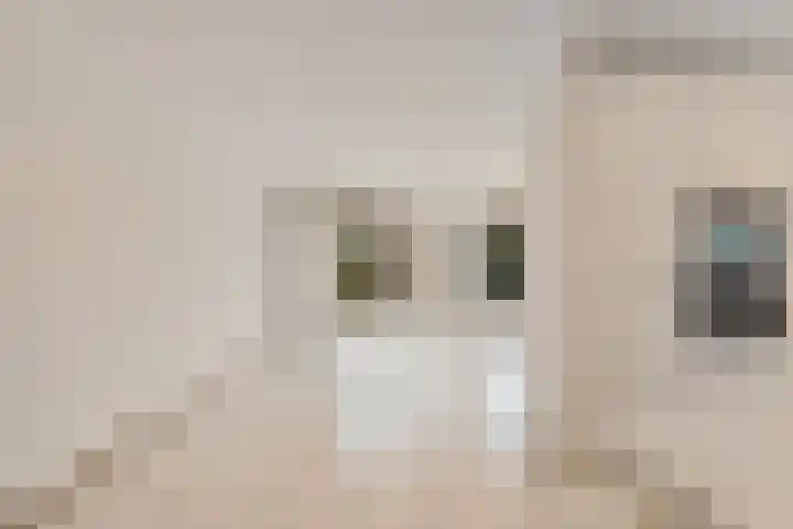 Hermionegang 1 Zoetermeer thumbnail 19