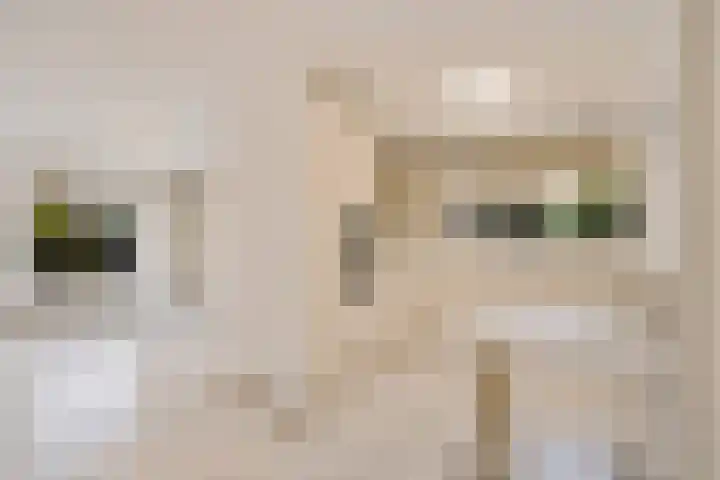 Hermionegang 1 Zoetermeer thumbnail 20