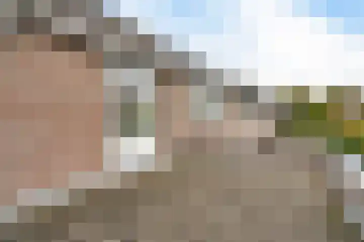 Hermionegang 1 Zoetermeer thumbnail 41