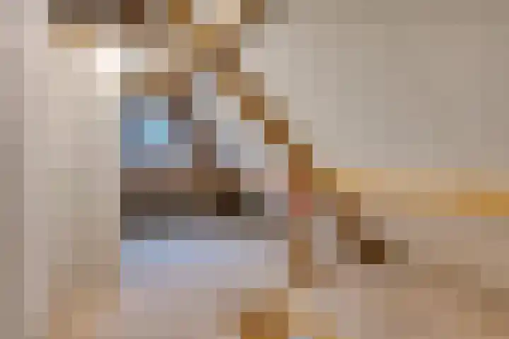 Hermionegang 1 Zoetermeer thumbnail 48