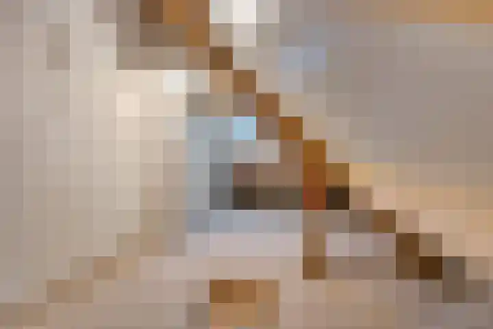 Hermionegang 1 Zoetermeer thumbnail 50