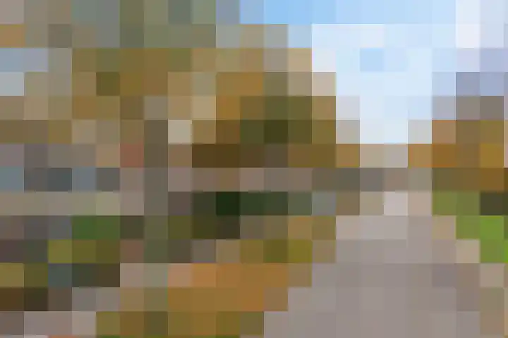 Hermionegang 1 Zoetermeer thumbnail 8