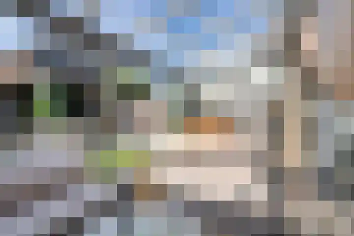 Hermitage 104 Hoofddorp thumbnail 23