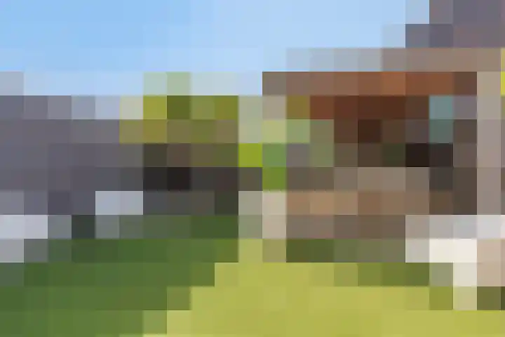 Hermitage 104 Hoofddorp thumbnail 25