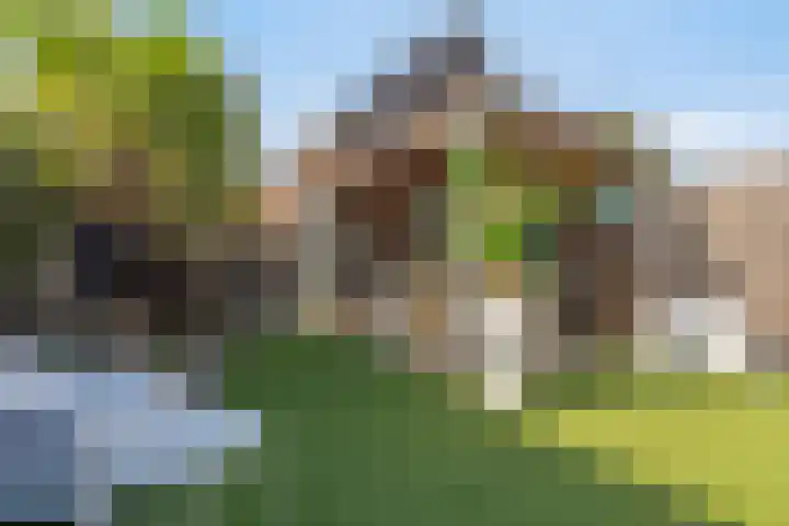 Hermitage 104 Hoofddorp thumbnail 27