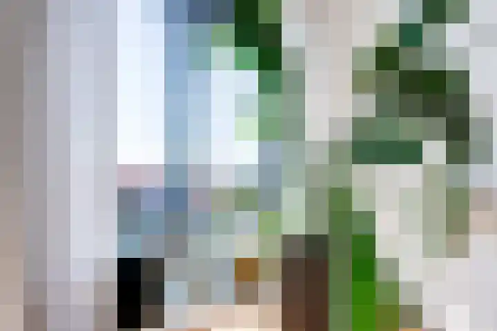 Hermitage 124 Zaandam thumbnail 22