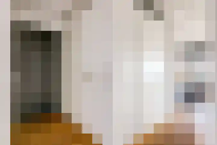 Hermitage 124 Zaandam thumbnail 9