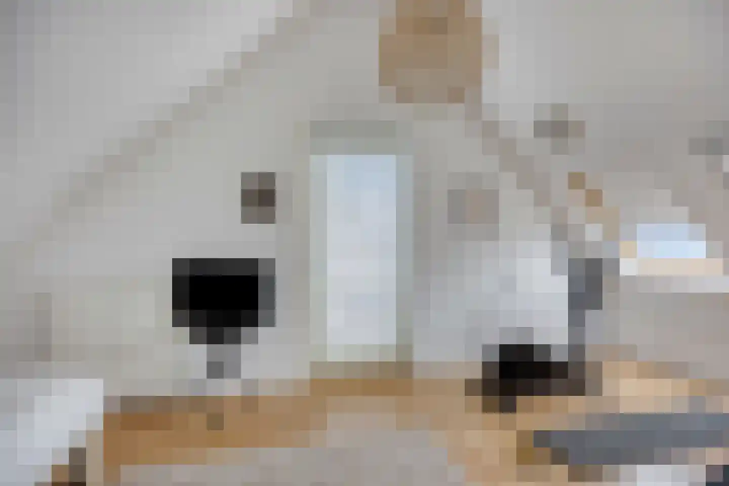 Hermitage 33 Hoofddorp thumbnail 28