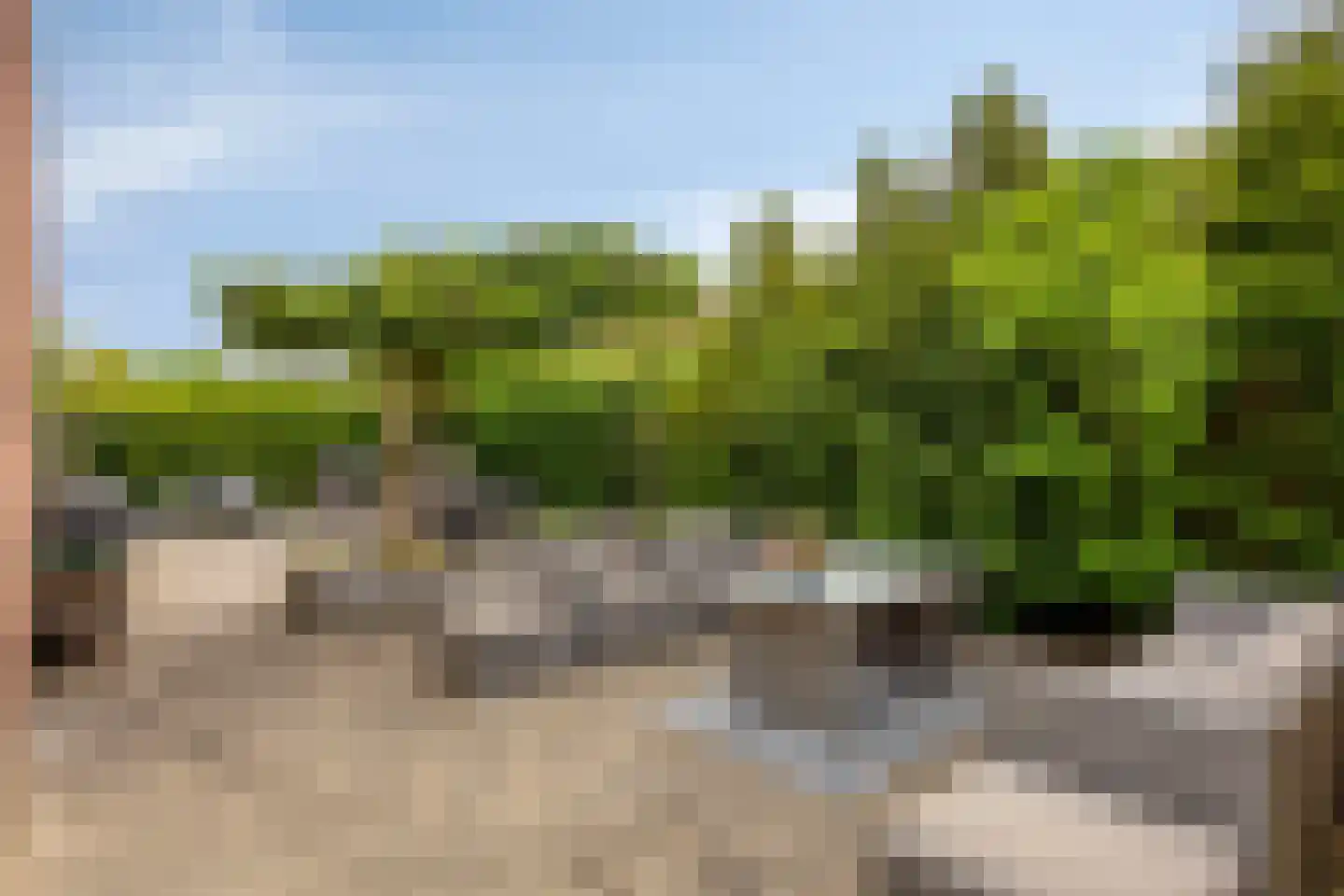 Hermitage 33 Hoofddorp thumbnail 30