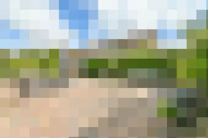 Hermitage 35 Hoofddorp thumbnail 19