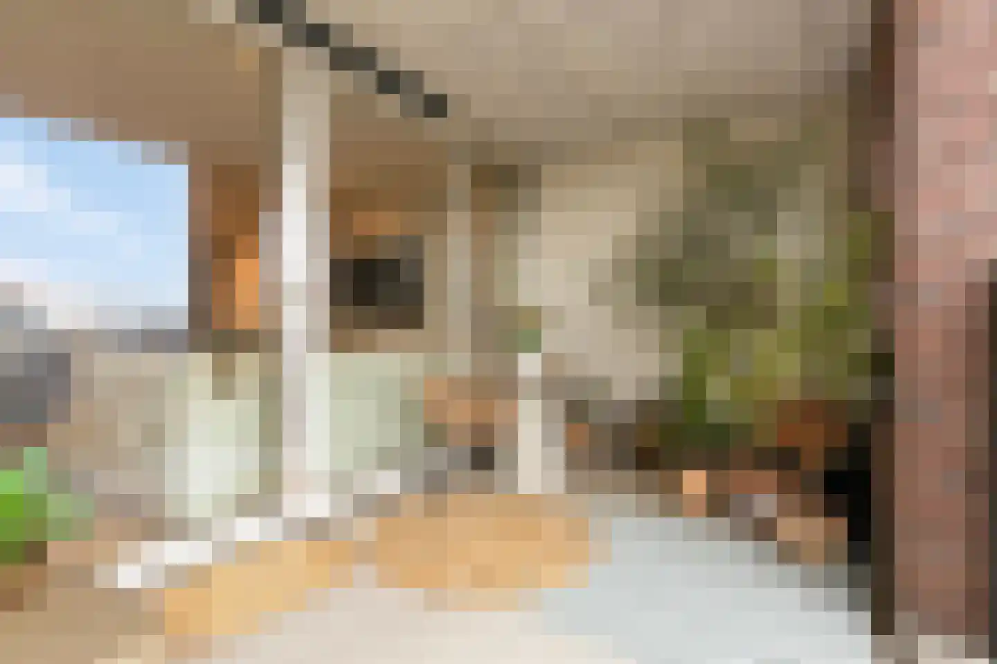 Hermitage 60 Zaandam thumbnail 17
