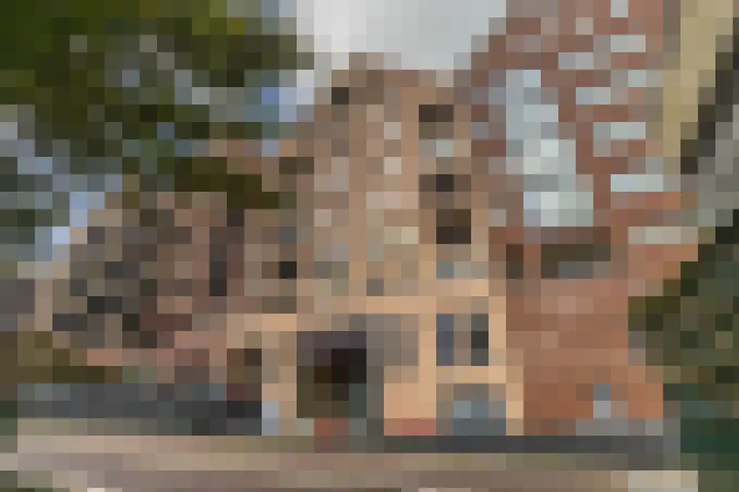 Hermitage 86 Zaandam thumbnail 31