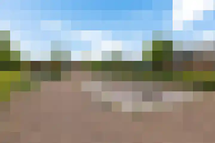 Hermitage 94 Hoofddorp thumbnail 41