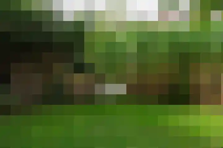 Hermonlaan 17 Rotterdam thumbnail 21