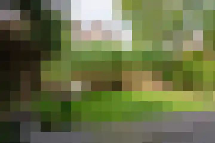 Hermonlaan 17 Rotterdam thumbnail 22