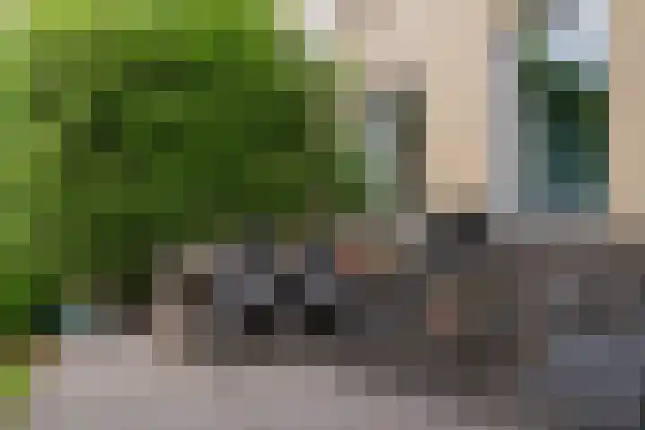 Hermonlaan 17 Rotterdam thumbnail 23