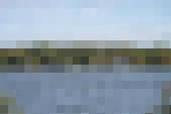 Hermonlaan 17 Rotterdam thumbnail 26