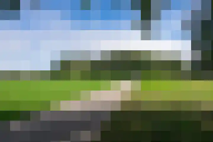 Hermonlaan 17 Rotterdam thumbnail 31