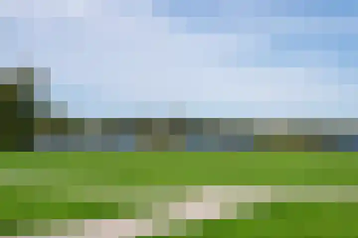 Hermonlaan 17 Rotterdam thumbnail 32