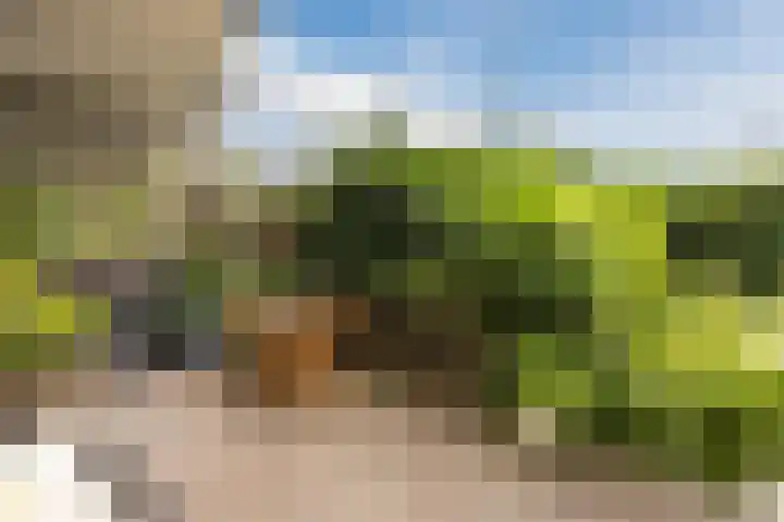 Hermonlaan 30 Rotterdam thumbnail 31