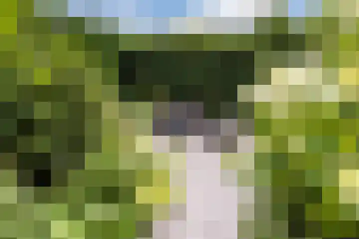Hermonlaan 30 Rotterdam thumbnail 32