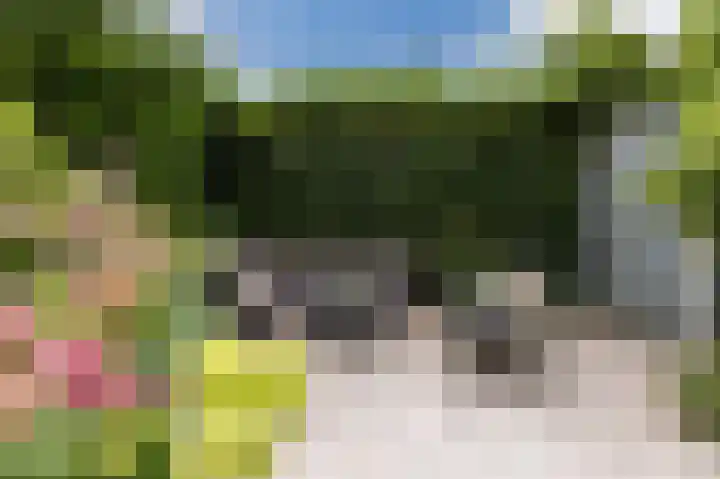 Hermonlaan 30 Rotterdam thumbnail 33