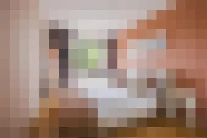 Hermonlaan 30 Rotterdam thumbnail 5