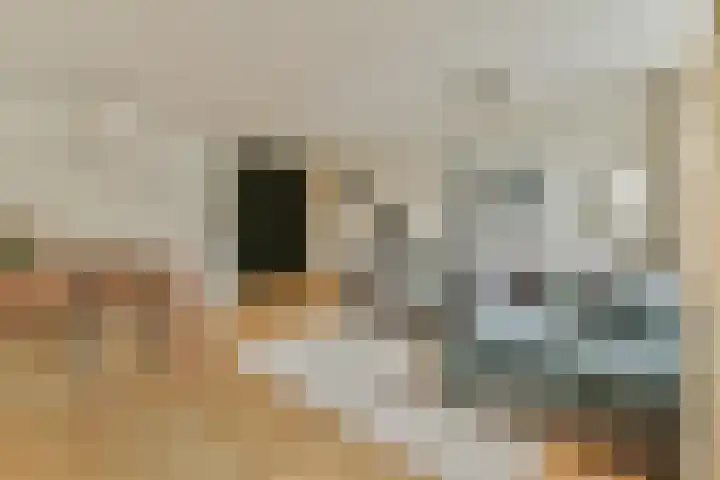 Hermonlaan 32 Rotterdam thumbnail 6