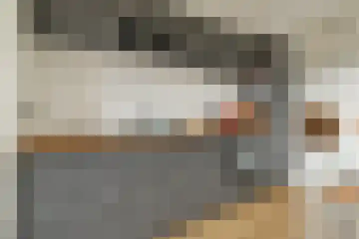 Hermonlaan 32 Rotterdam thumbnail 8