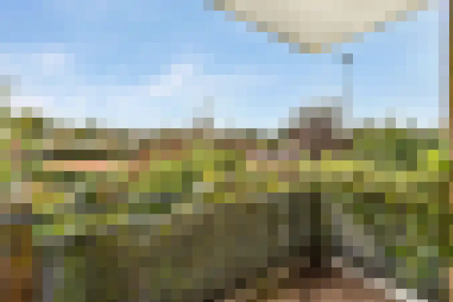 Hermonlaan 8 Rotterdam thumbnail 6