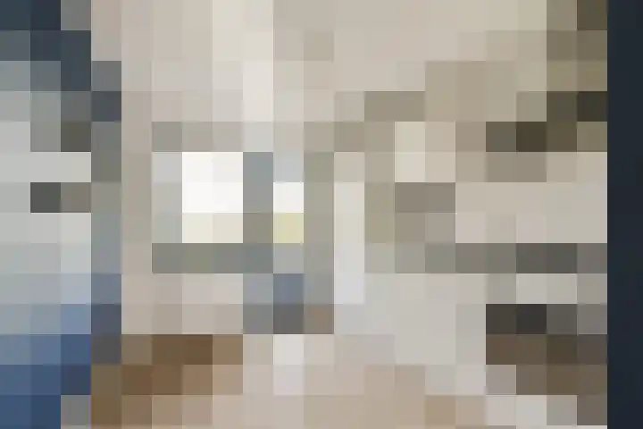 Hermonlaan 9 Rotterdam thumbnail 11