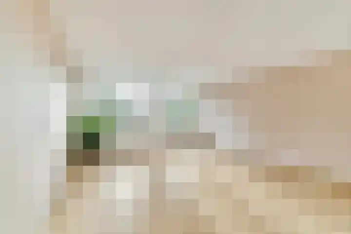 Hermonlaan 9 Rotterdam thumbnail 7