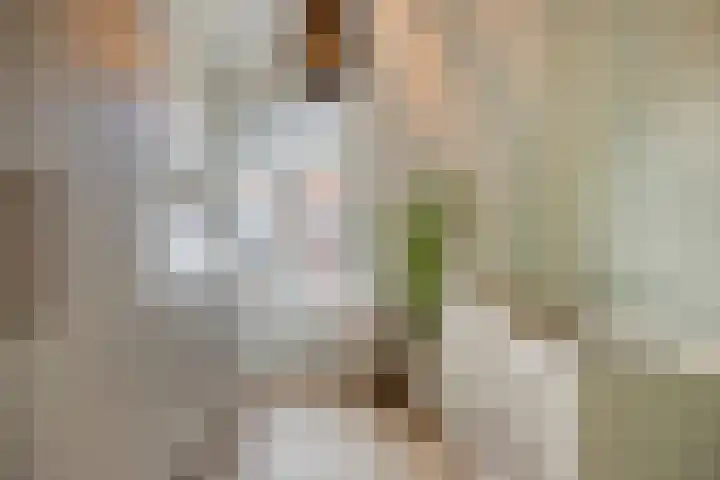 Hermusstraat 4 Bergen op Zoom thumbnail 37