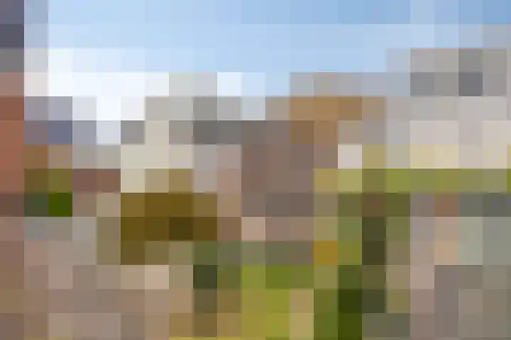 Hermusstraat 4 Bergen op Zoom thumbnail 45