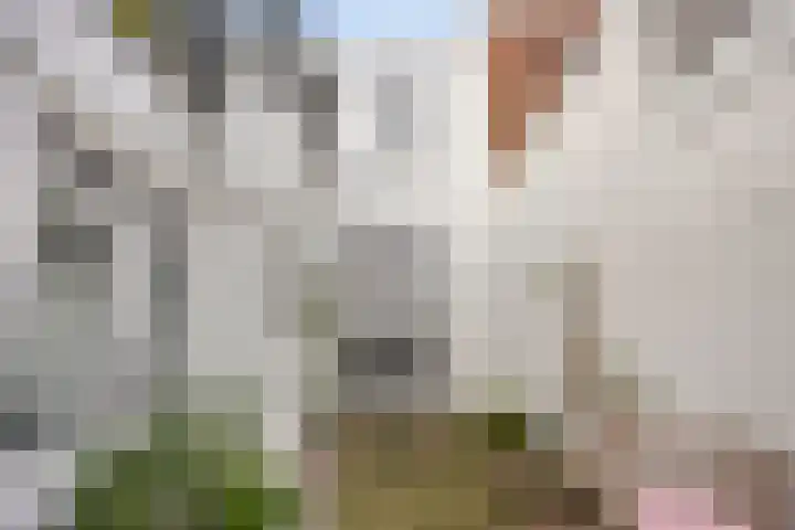Hermusstraat 4 Bergen op Zoom thumbnail 47