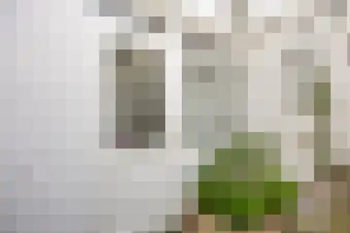 Hermusstraat 4 Bergen op Zoom thumbnail 48