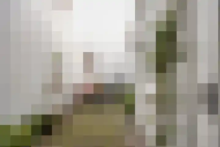 Hermusstraat 4 Bergen op Zoom thumbnail 50