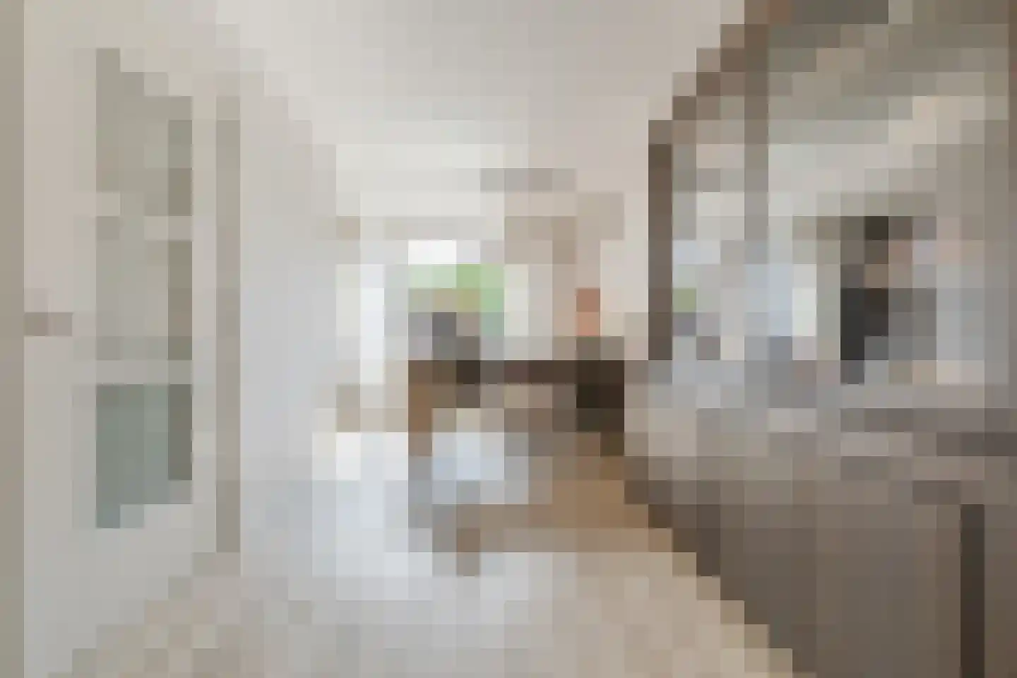 Hernastraat 12 Maasbracht thumbnail 13