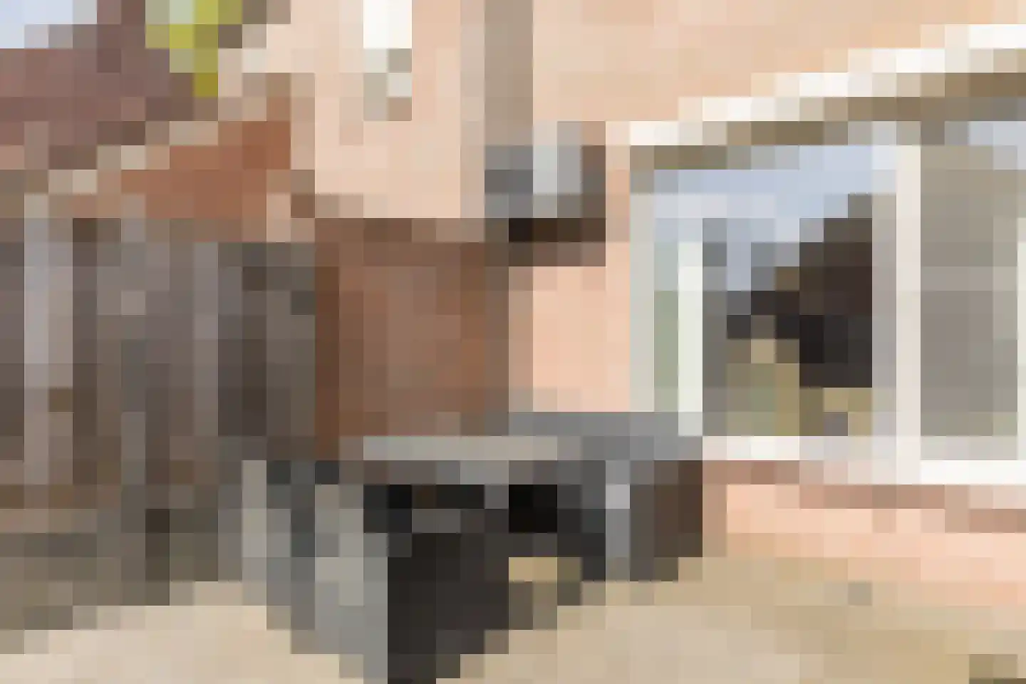 Hernastraat 12 Maasbracht thumbnail 41