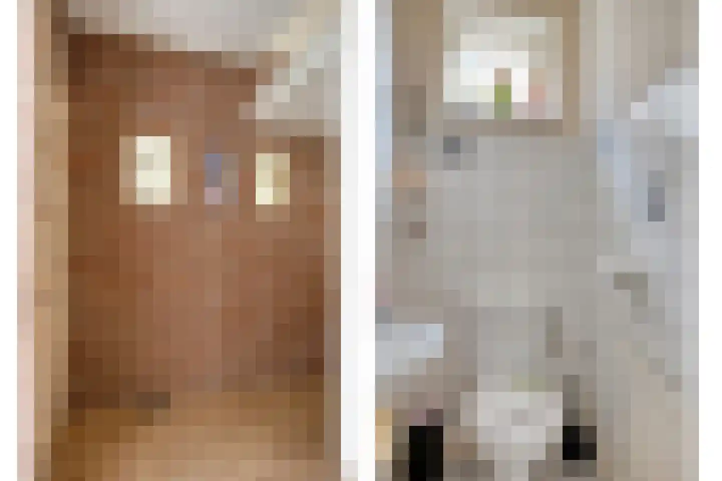 Hernepaed 5 Oosthem thumbnail 15