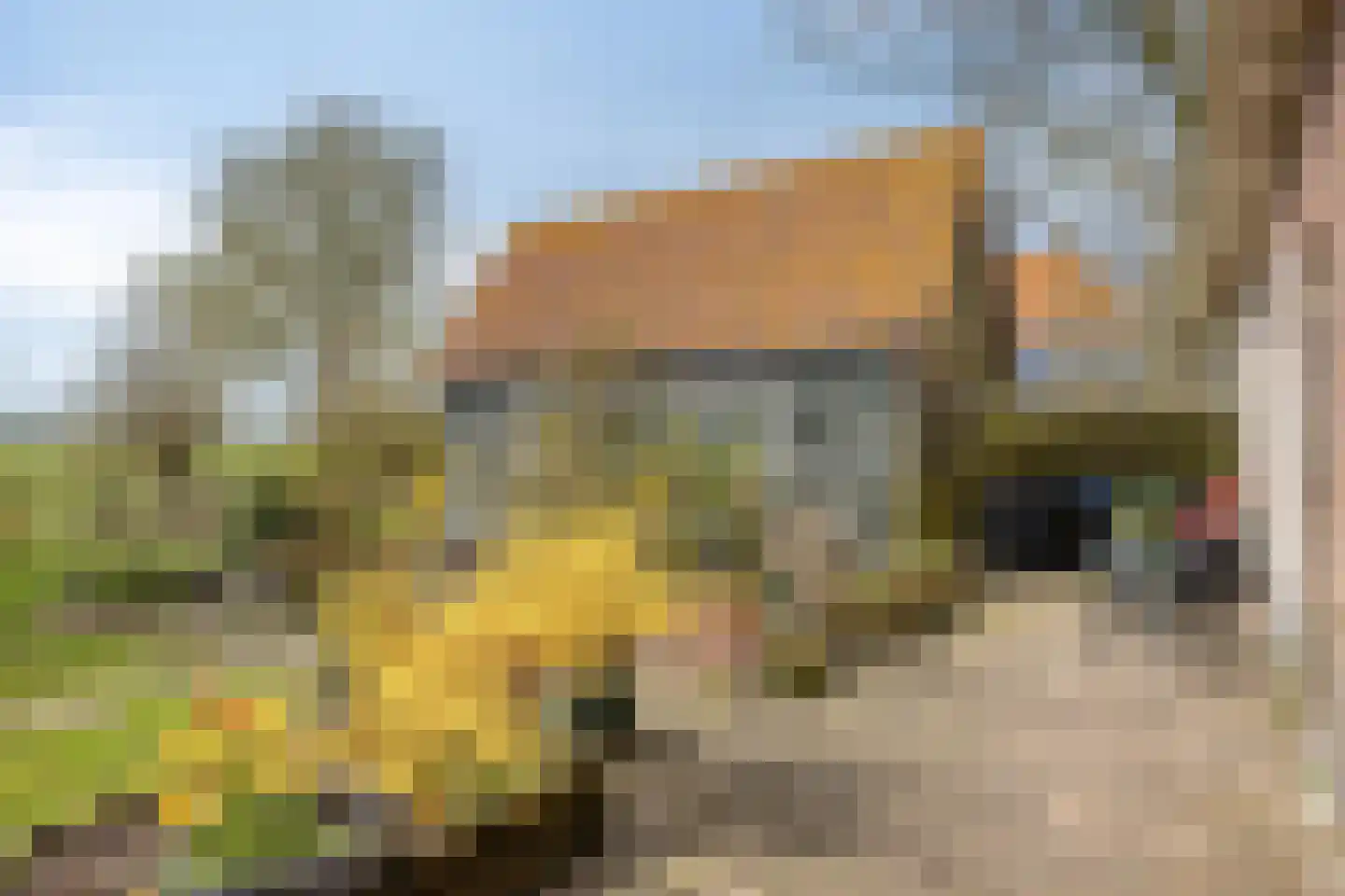 Hernepaed 5 Oosthem thumbnail 33