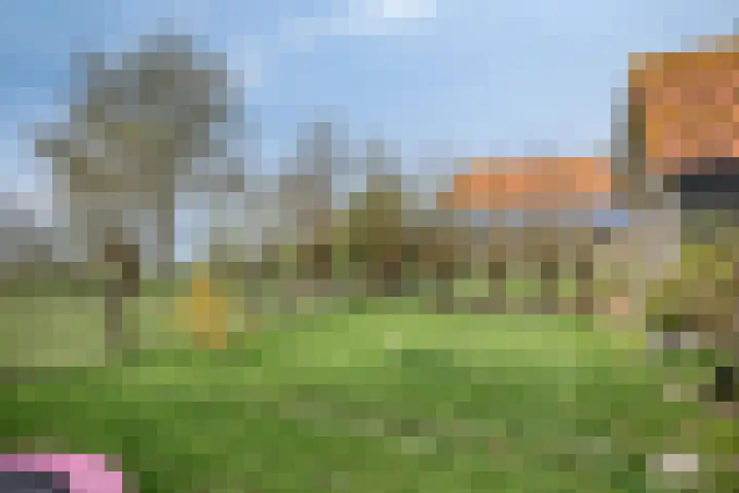 Hernepaed 5 Oosthem thumbnail 38