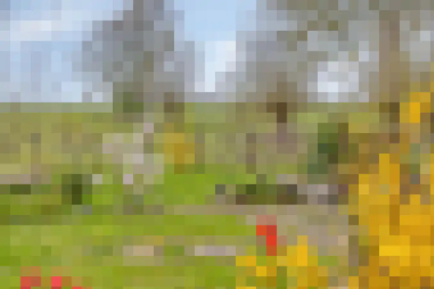 Hernepaed 5 Oosthem thumbnail 41